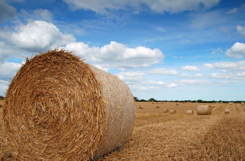 HAY SAMPLING TIPS & TRICKS