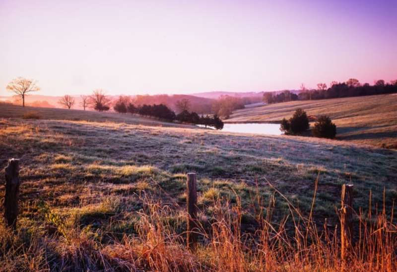 WHAT IS FROST SEEDING & HOW CAN IT HELP MY FARM?