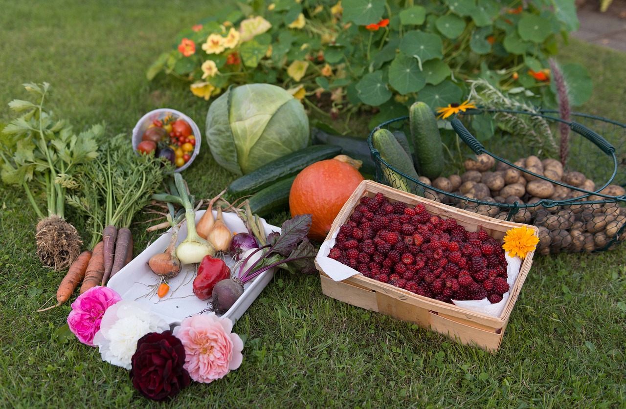 Growing a Low-Maintenance, High-Yielding Garden